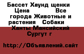 Бассет Хаунд щенки › Цена ­ 20 000 - Все города Животные и растения » Собаки   . Ханты-Мансийский,Сургут г.